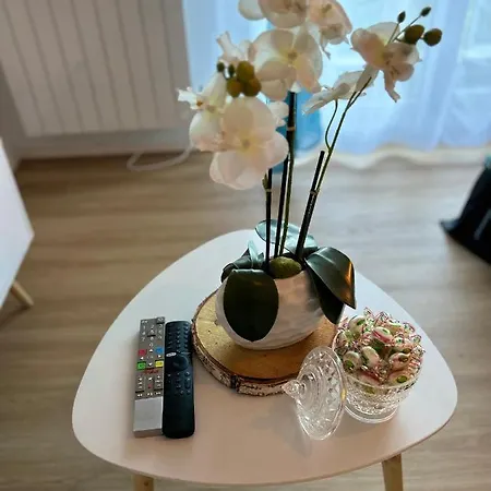 Les 6 Reflets Du Daire *